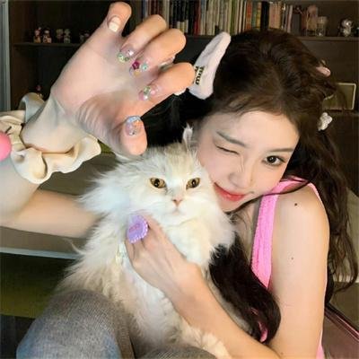 一起露营吧 第二季